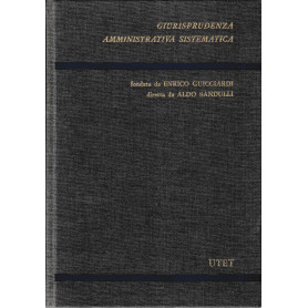 Conti e responsabilità degli amministratori