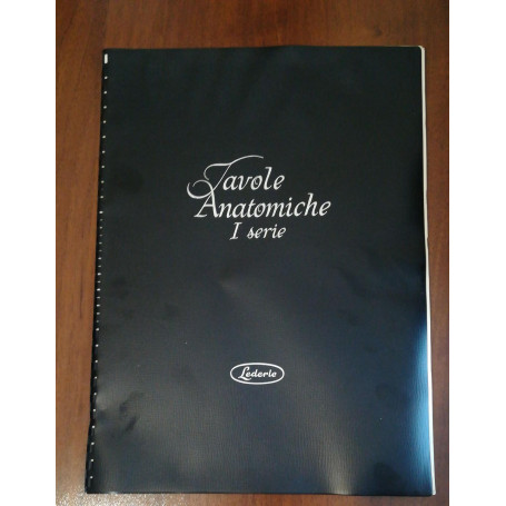 Tavole Anatomiche I Serie