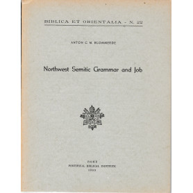 Northwest Semitic Grammar and Job