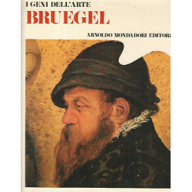 I geni dell'arte Bruegel