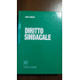 DIRITTO SINDACALE