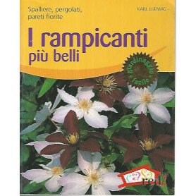 I rampicanti più belli