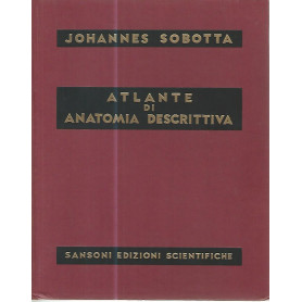 Atlante di anatomia descrittiva II