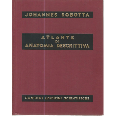 Atlante di anatomia descrittiva II