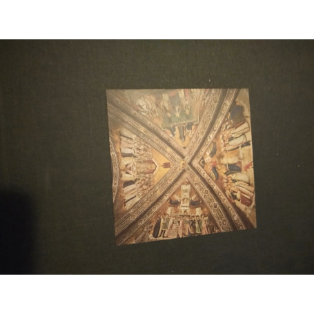Basilica patriarca in Assisi san Francesco testimonianza artistica messaggio evangelico