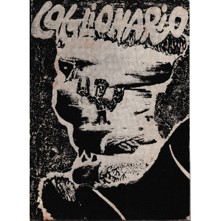 Coglionaro