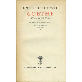 Goethe storia di un uomo
