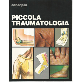 Piccola traumatologia