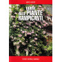 Guida alle piante rampicanti