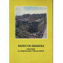 Museo de Zaragoza secciones de arquelogia y bellas artes