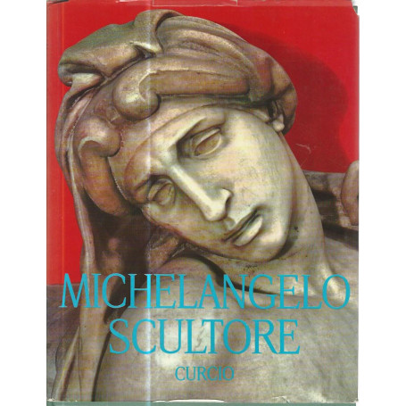 Michelangelo scultore
