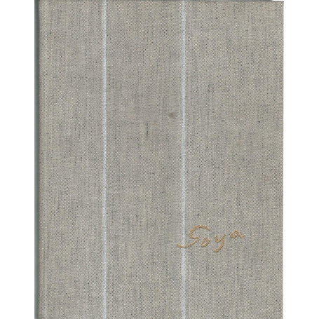 Francisco De Goya Lucientes Goya