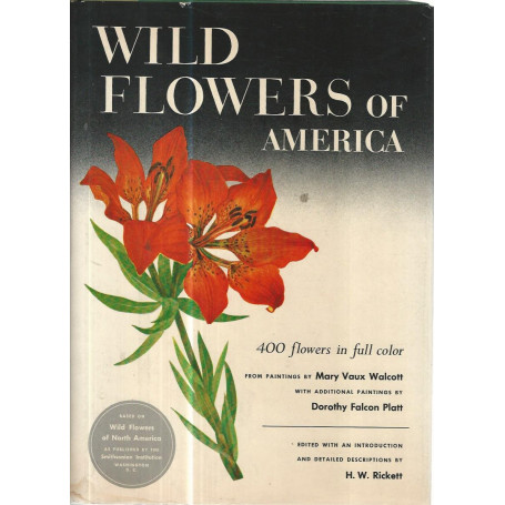 Wild flowers of America