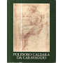 Polidoro Caldara da Caravaggio