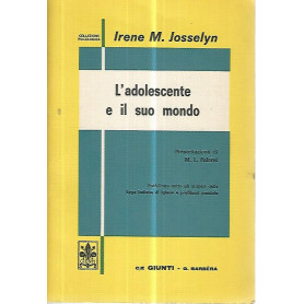 L'adolescente e il suo mondo