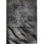 Versi in pelle. Fisiologia e anatomia cutanea rimata