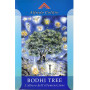 Bodhi Tree. L'albero dell'illuminazione
