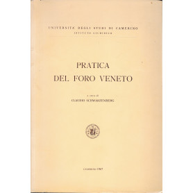 Pratica del Foro Veneto. Copia anastatica