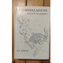 LE COSTELLAZIONI