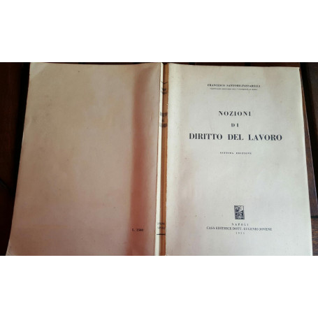 Nozioni di diritto del lavoro. Settima edizione