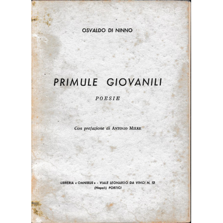 Primule giovanili
