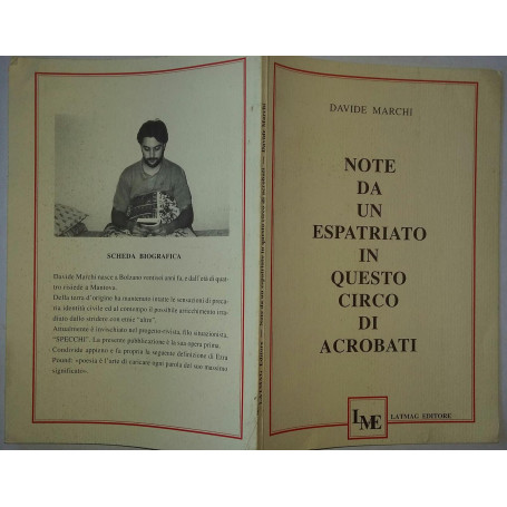 Note da un espatriato in questo circo di acrobati