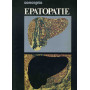 Epatopatie