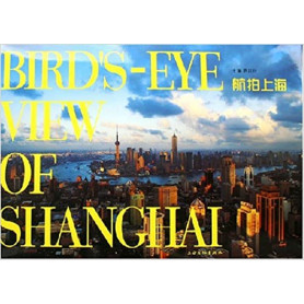 Bird's eye view of Shanghai