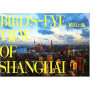 Bird's eye view of Shanghai