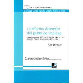 La riforma Brunetta del pubblico impiego