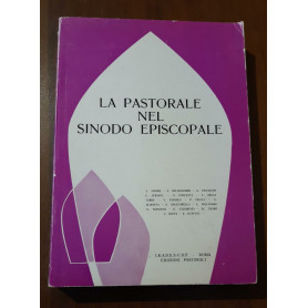 La pastorale nel sinodo episcopale