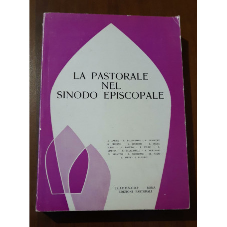 La pastorale nel sinodo episcopale