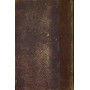 Vita di Francesco Ferruccio. Vol. 1