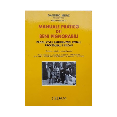 Manuale pratico dei beni pignorabili. Profili civili