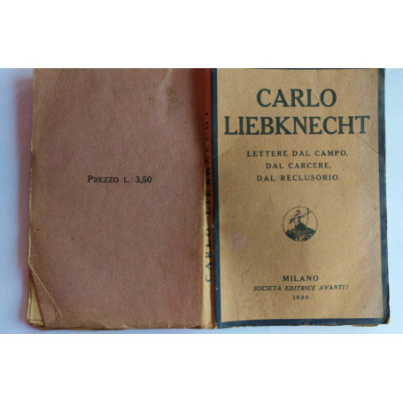 Lettere dal campo