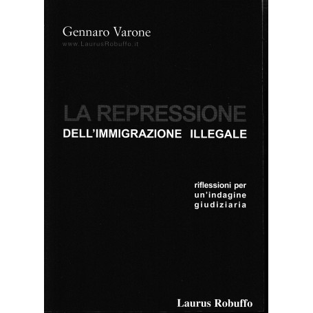 La repressione dell'immigrazione illegale. Riflessioni per un'indagine giudiziaria