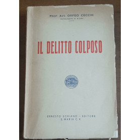 Il delitto colposo