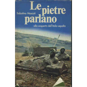 Le pietre parlano. Alla scoperta dell'Italia sepolta